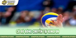 Cá Độ Bóng Chuyền Tại Kingfun Cho Tân Bet Thủ