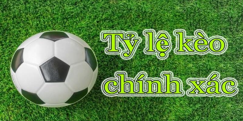 Các dịch vụ đẳng cấp của tỷ lệ kèo Livescore