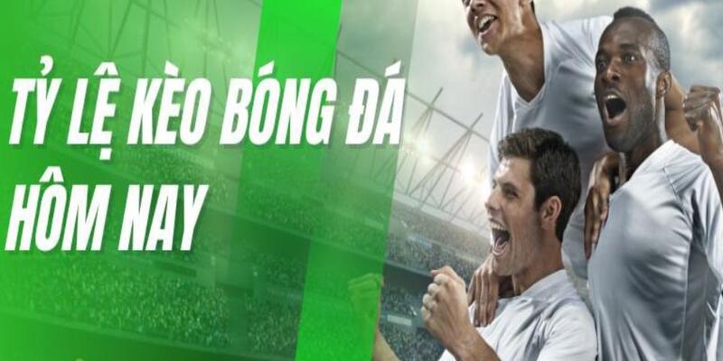 Vài nét về tỷ lệ kèo Livescore